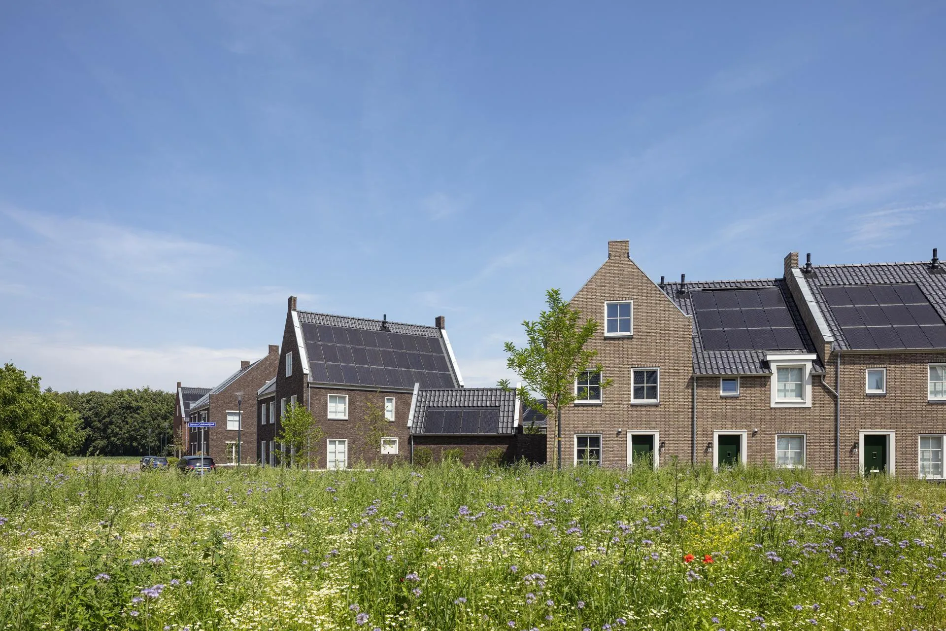 Deventer Steenbrugge fase 1