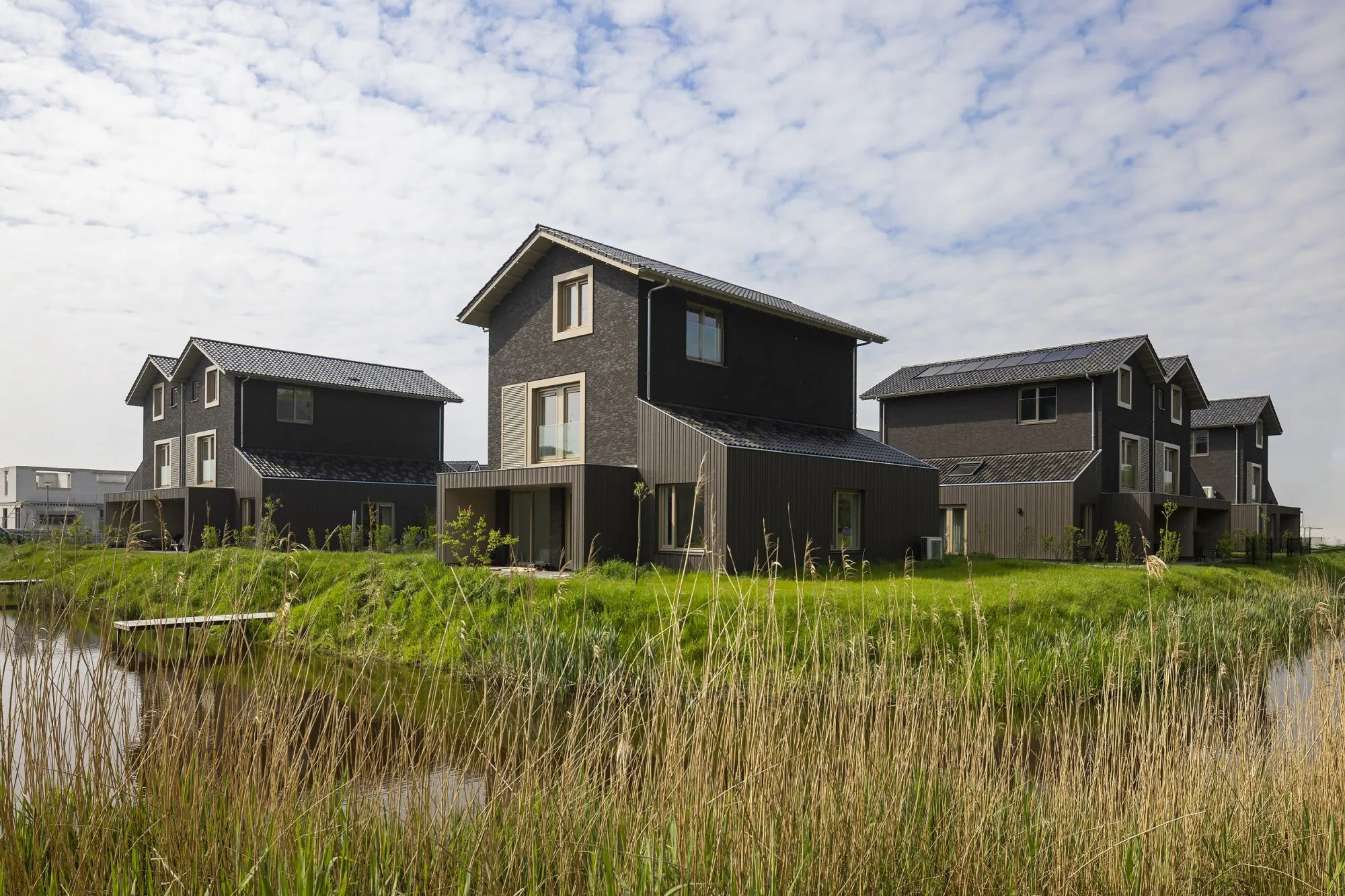 Tynaarlo Ter Borch Rietwijk Noord